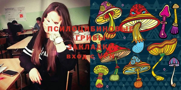 прущие крисы Козловка