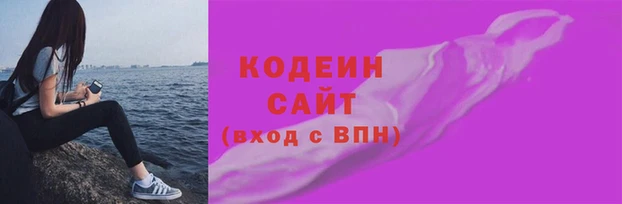 скорость Няндома